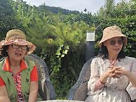 손죽도 여행 2026 0606..
