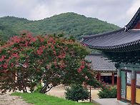 태안사~~계곡~~순천작가 ..