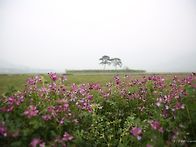 나비야 너 좋겠다