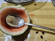 숫가락 수박