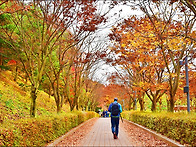 남양 성모성지 24.11.1..