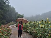 휴가사진 fromM
