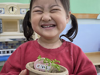 ＜과학＞ 방울토마토 키우..