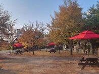 광교산 번개 산행 후기