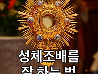 성체조배를 잘 하는 법