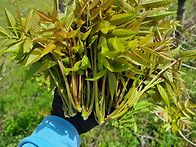 상품보시고 맘에드..