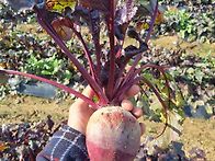 상품보시고 맘에드..