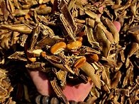 구수한 작두콩차...