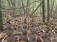 오래두고 드실수있..