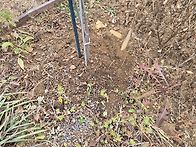 겨울철 유실수 텃..