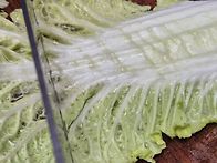 배추 부침개 초 ..