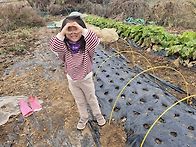 11월 말쯤 텃밭 ..