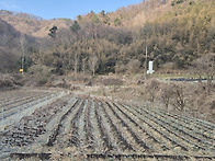 정읍 내장산 앞 뜰 마을 ..
