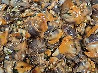 오동통 꼬막비빔밥..