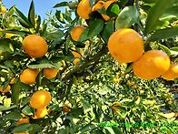 이쁘게 잘 키웠죠?^^