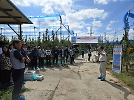 다목적 햇빛차단망..