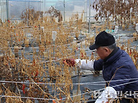 농업경영체 등록 ..