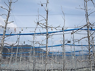 [생산비 절감 농업..