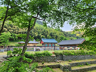 봉곡사 - 천년의 숲(202..