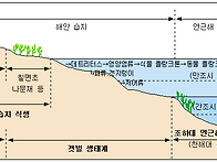 갯벌 주변의 생태계