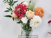 (절화) 다알리아