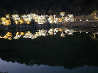 동서강정원 청령포원 야경