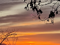 즐거운 설날 되세요~