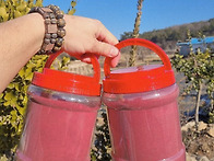 구수한돼지감자차,연근가루..