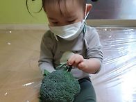 브로콜리놀이(들노..