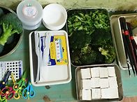 브로콜리 놀이(산..