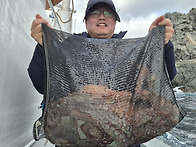 겨울 문어 3K 2.8K 2.2K 2K 1.8K 1..