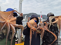 겨울 문어! 3.4k 2.5k 2k 1.5k KKK..