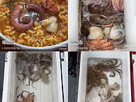 돌문어 뜯어내는 맛! 입맛! 좋습니다.