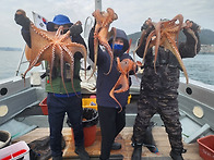 겨울 문어! 3.4k 2.5k 2k 1.5k KKK..