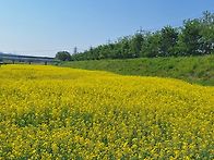 청주 도시농업 페스티벌 