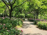 청주 오창 호수공원
