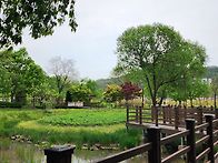 아산 신정 호수공원