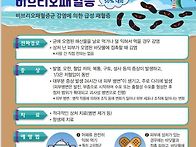 비브리오 패혈증