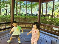8.6 풀잎반