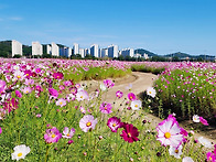 멋진 날 산뜻한 ..