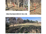 탄소중립의 도시숲..