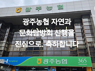 광양 배알도 수련공원