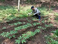 매곡리 산심 프로..
