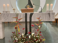 견진성사. 주교님 사목