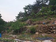 친구의 삶 구석구석! 최희..