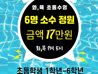 초등 평일 강습반 모집