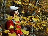 계룡산 산행...,..