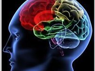 NLP 자신감 코칭 스피치 ..