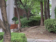 샤인이..참 별난 고양입니..