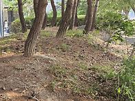 소소한 일상(사료 도둑)